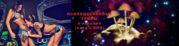 ешки Алзамай