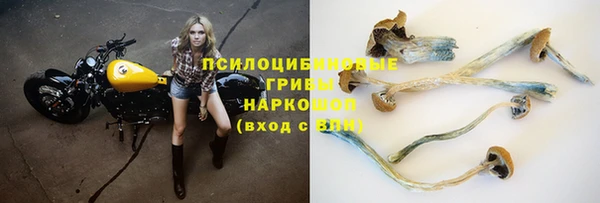 ешки Алзамай
